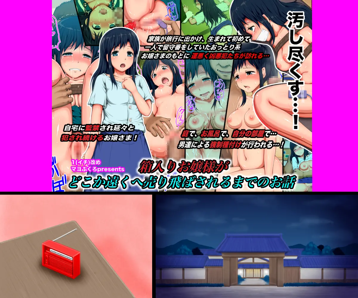 Hakoiri Ojou-Sama Ga Dokoka Tooku E Uritobasareru Made No Ohanashi